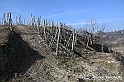 VBS_1099 - Santo Stefano Roero